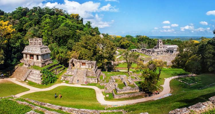 Vue panoramique d'anciennes ruines mayas entourées d'une jungle luxuriante.