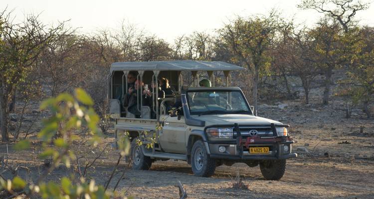 Safariwagen met mensen aan boord, die wilde dieren observeren.