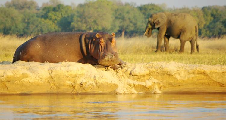 Safari por los valles Zambeze y Luangwa - Adventure Purists Ltd. 4