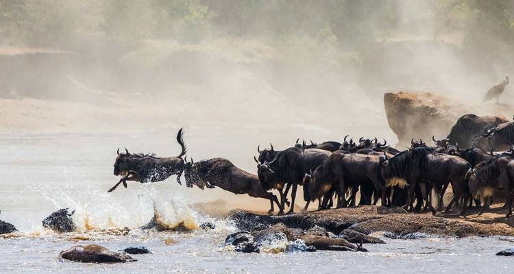 Les points forts du Kenya et l'extension Tsavo - Explore! 10