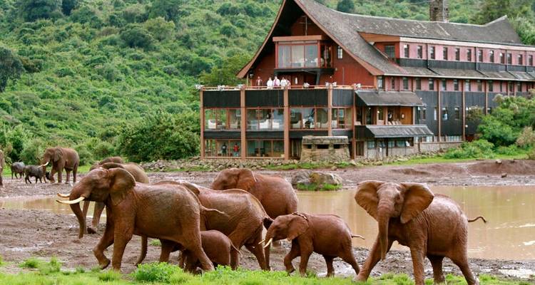 Les points forts du Kenya et l'extension Tsavo - Explore! 4