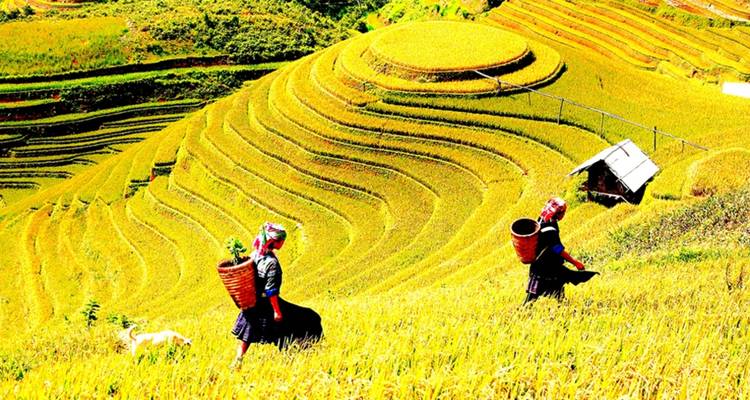 Admira la belleza salvaje de los montes de Vietnam en Sapa y el mercado de Bac Ha 3 días - Vietnam Responsible Tourism 2