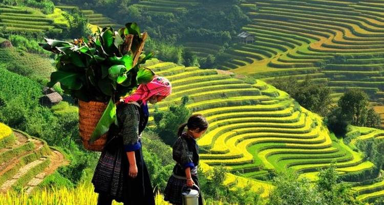 Admira la belleza salvaje de los montes de Vietnam en Sapa y el mercado de Bac Ha 3 días - Vietnam Responsible Tourism 3