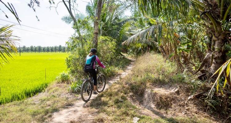 Self-guided Mekong Delta Exploration - Mr Biker Saigon 1