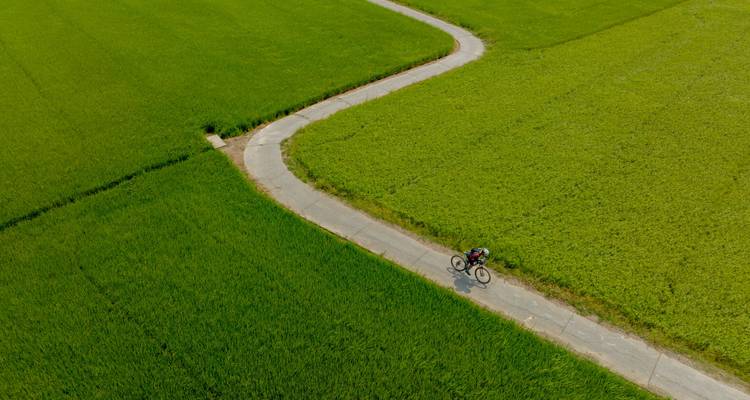 Self-guided Mekong Delta Exploration - Mr Biker Saigon 6