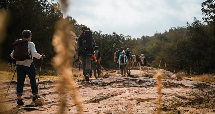 Ruta de Dana a Petra - 5 días de senderismo - Experience Jordan 1