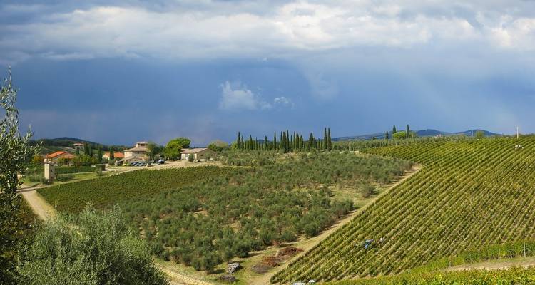 Lo mejor de Italia en tren - Flag Travel Holidays 6