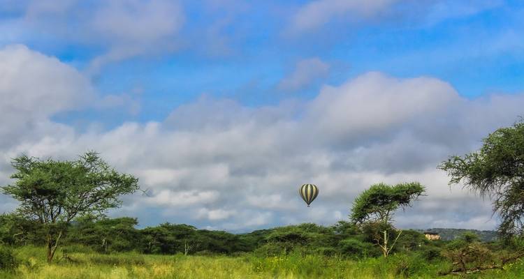 Safari aérien de 5 jours au Serengeti - Almighty Kilimanjaro 4
