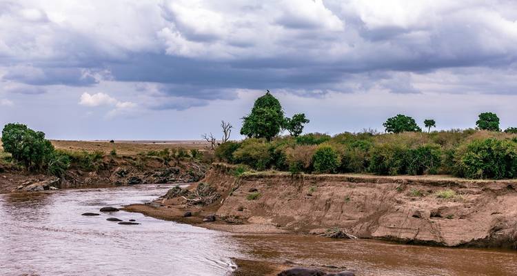 6 Days Migration Safari - Almighty Kilimanjaro 3