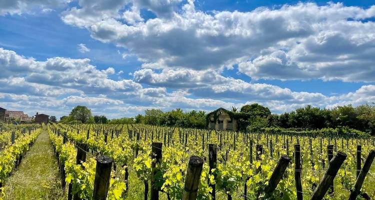 Un avant-goût du sud de la France - De Bordeaux à Toulouse - Explore! 7