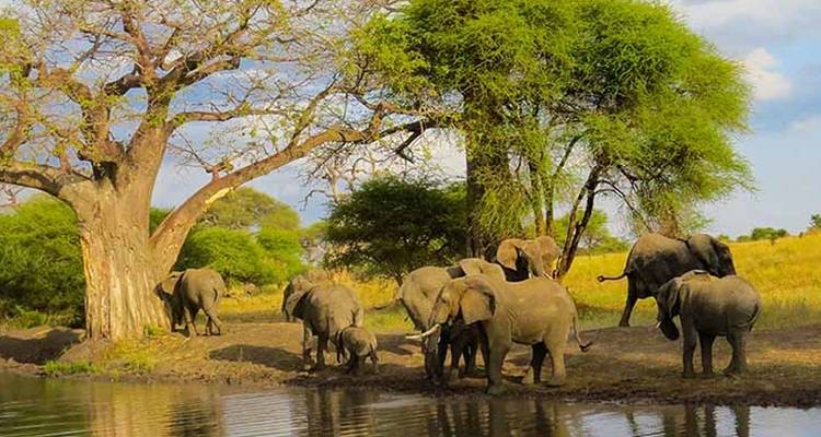 Safari haut de gamme exclusif de 6 jours à Tarangire, Ngorongoro et Serengeti - Seven Wonders Safaris 4