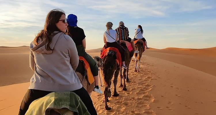 Group camel riding in desert dunes at sunset.