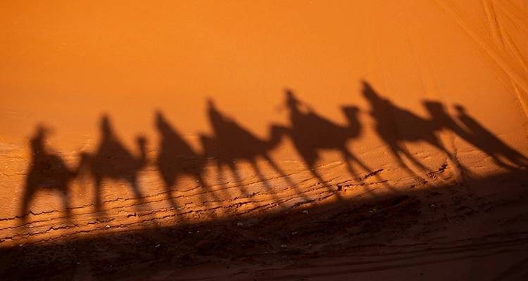 Shadows of camels and riders on sand dunes.