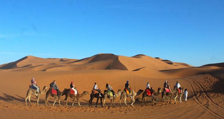 Camel caravan traversing sand dunes under a clear sky.