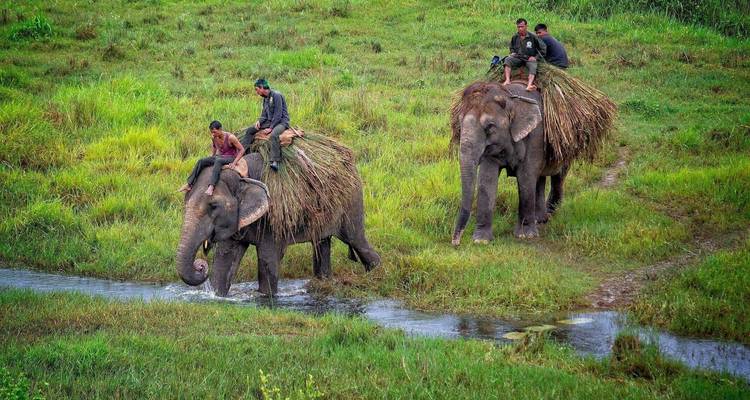 Glimps of Nepal Tour 9 Days - Bravo Indochina Tours 2