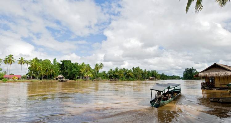 Small boat navigating a river lined by palm trees.