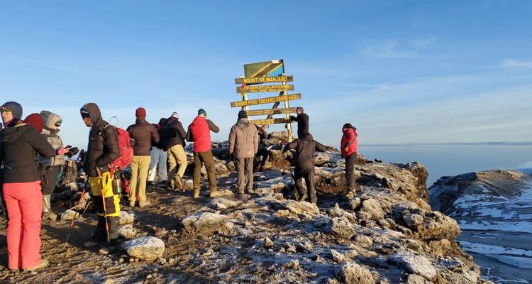 Lemosho Route - Climb Kilimanjaro in 9-day - Africa Natural Tours 4