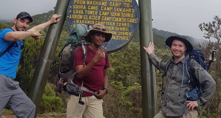 Lemosho Route - Climb Kilimanjaro in 9-day - Africa Natural Tours 6