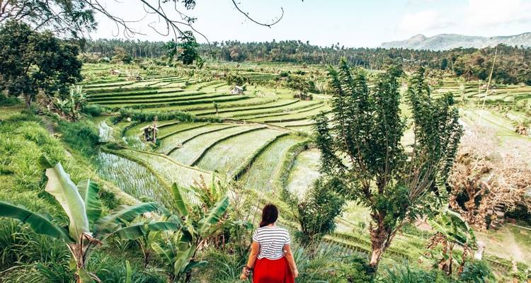 Bali Essence Discovery 5 jours - Bravo Indochina Tours 3