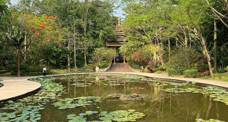 Tras la pista del té y los caballos: viaje de aventura por la naturaleza de Kunming a Laos - TUI China 2