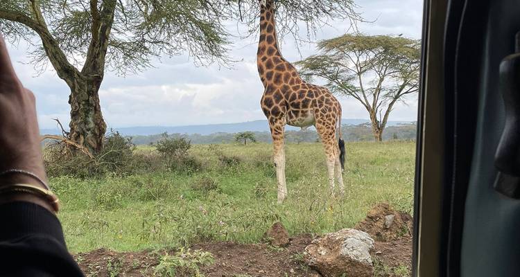 3 DAYS SAMBURU CULTURAL AND WILDLIFE SAFARI - Bencia Africa Adventure and Safaris 4