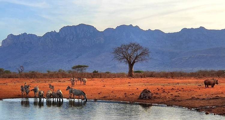 3 DAYS SAMBURU CULTURAL AND WILDLIFE SAFARI - Bencia Africa Adventure and Safaris 6