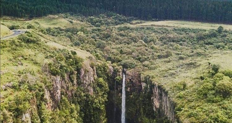 Safari de lujo por el Parque Kruger y excursión en autocar/autobús por Ciudad del Cabo - con vuelo nacional - Amatungulu Tour 9