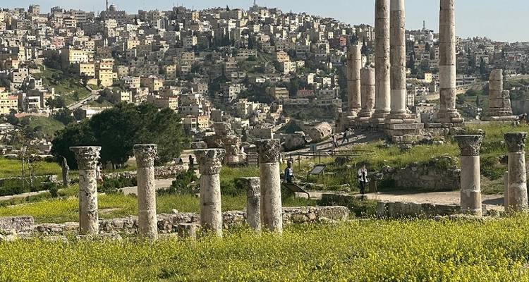 Ancient columns in a field with city buildings in the background.