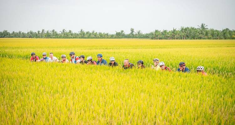 Groupe de personnes faisant du vélo à travers des rizières.