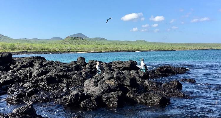 12 Days Exploring Galapagos "Santa Cruz- Isabela - San Cristobal" - PERFECT DESTINY 4