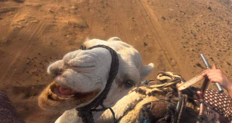Circuito de 8 Días de Tánger a Marrakech (Privado) - Morocco Magic Trip 7