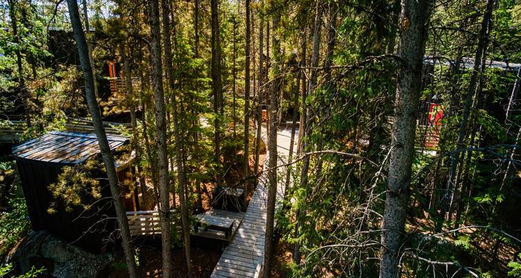 Escapade dans un chalet moderne à Whitehorse depuis Vancouver - Landsby 1