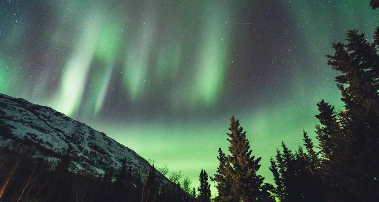 Aurora Boreal y Gloria de la Fiebre del Oro desde Calgary - Landsby 2