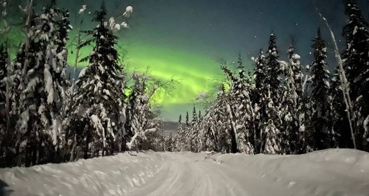 Aurora Boreal y Gloria de la Fiebre del Oro desde Calgary - Landsby 7