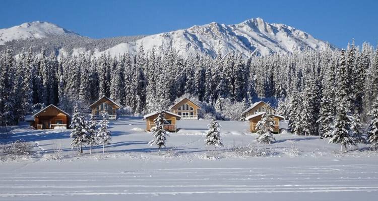 Lakefront Cabin Stay Under the Aurora Skies from Vancouver - Landsby 1