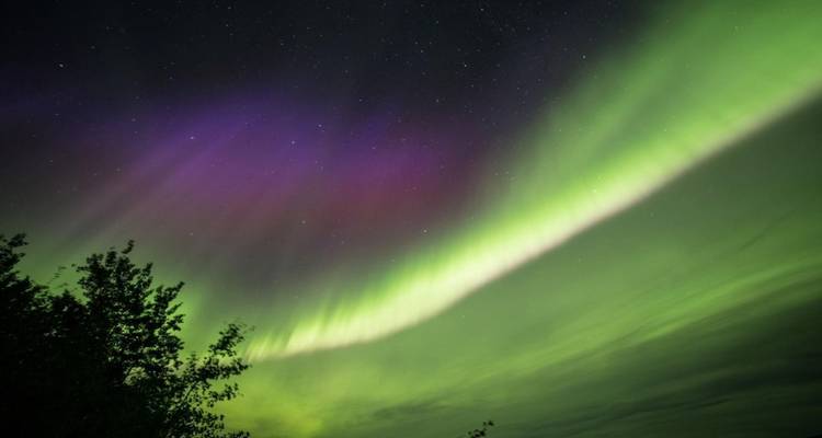 Feast Your Eyes - Northern Lights in Autumn from Calgary - Landsby 7