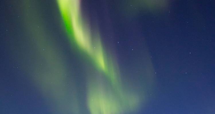Les aurores boréales de l'Alaska (d'Anchorage, AK à Fairbanks, AK) (2024) - Collette 5