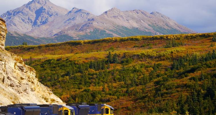 An Alaska Railroad train winds below colorful autumn foliage with rugged mountains towering behind.