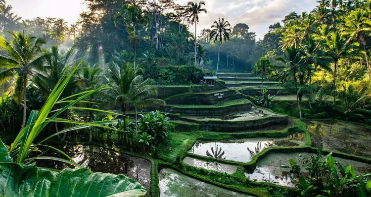Sillonner les îles à partir de Bali - Experience Stays Collection - Vio Travel 1