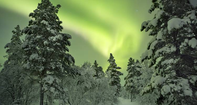 La nature sauvage à l'état pur : l'aventure arctique en husky - journaway 2