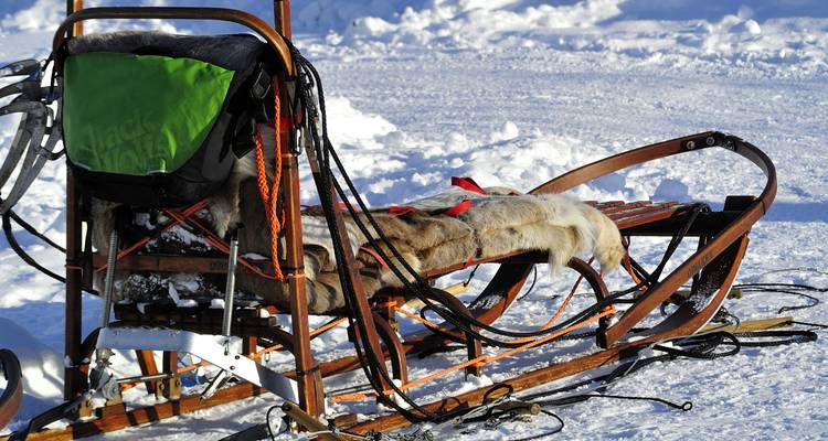La nature sauvage à l'état pur : l'aventure arctique en husky - journaway 4