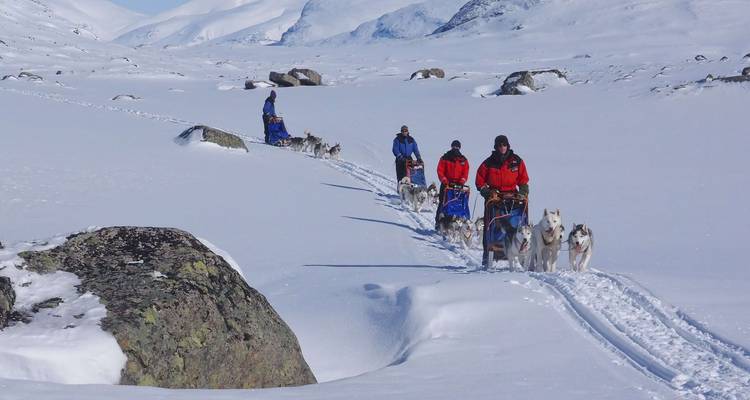 La nature sauvage à l'état pur : l'aventure arctique en husky - journaway 8