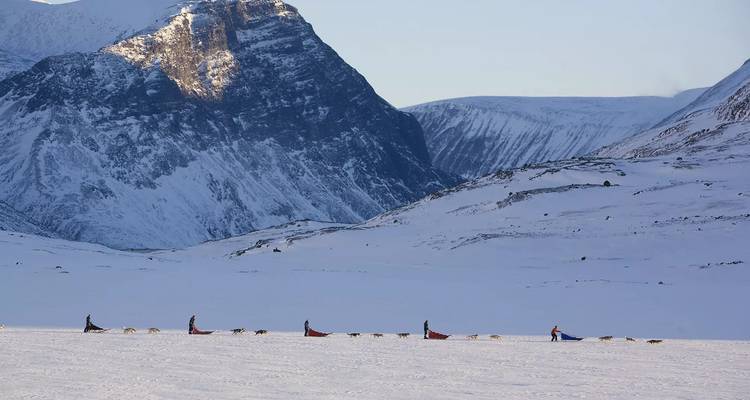 La nature sauvage à l'état pur : l'aventure arctique en husky - journaway 9