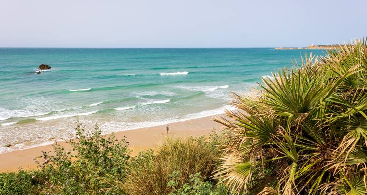 Viaje por carretera a Andalucía: Senderos Salvajes y Playas Doradas - journaway 4