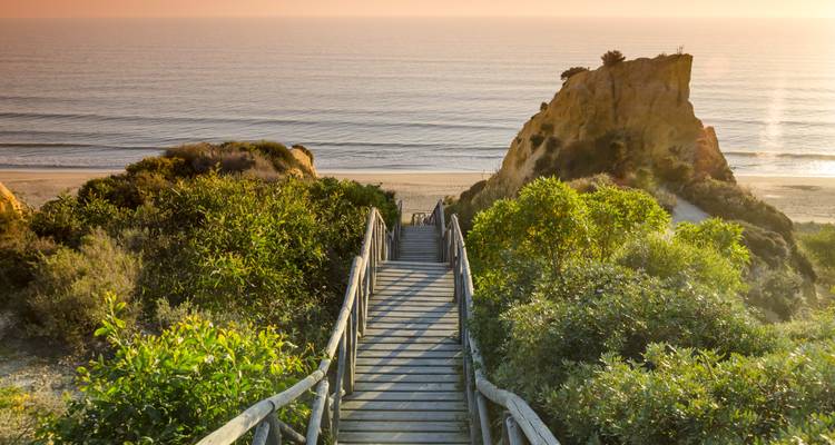 Viaje por carretera a Andalucía: Senderos Salvajes y Playas Doradas - journaway 7