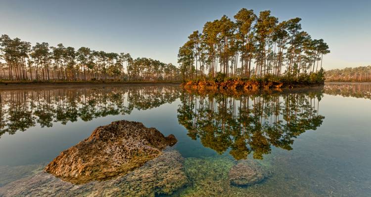 New York et Floride : de la Grosse Pomme au Sunshine State (6 destinations) - journaway 3