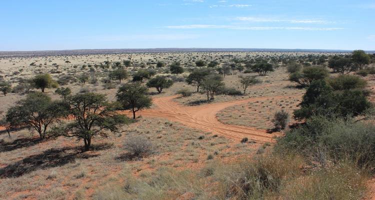 Viaje por carretera a Namibia: Canyonscape & Safari Adventure - journaway 1