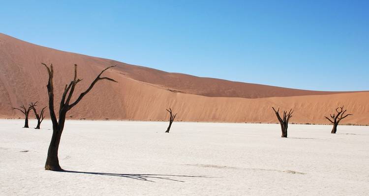 Viaje por carretera a Namibia: Canyonscape & Safari Adventure - journaway 4
