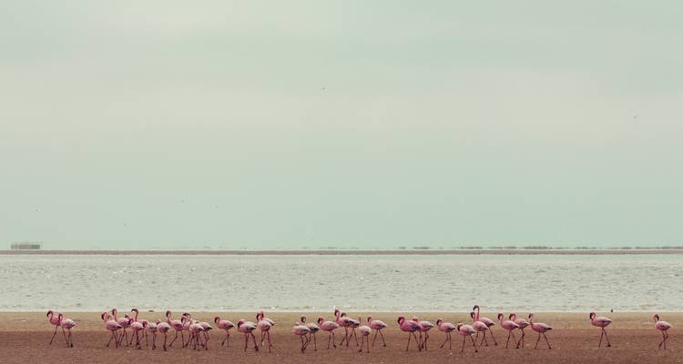 Viaje por carretera a Namibia: Canyonscape & Safari Adventure - journaway 7