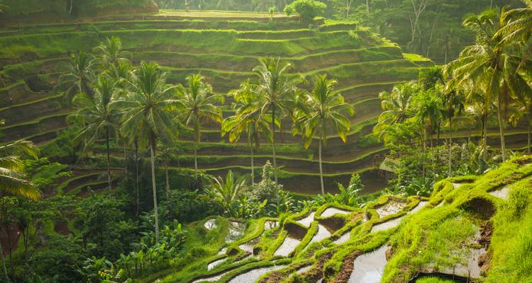 Bali : une aventure entre plage et jungle - journaway 8